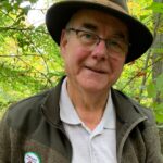 Pilzsammler mit Korb voller frischer Pilze im Wald.