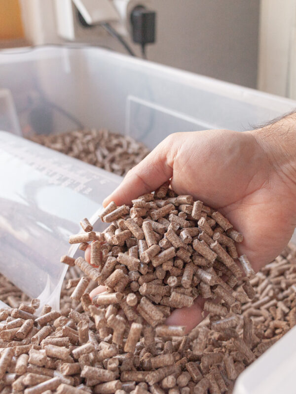 Hand hält getrocknete Pilzstücke über Lagerbehälter.