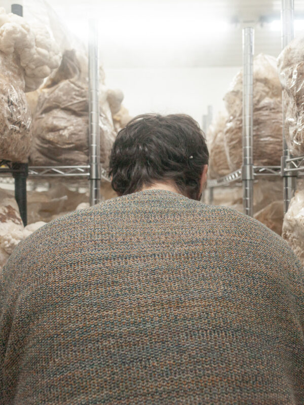 Mann in Pilzzuchtlager mit Pilzbeutel, nachhaltige Pilzproduktion in Freiburg.